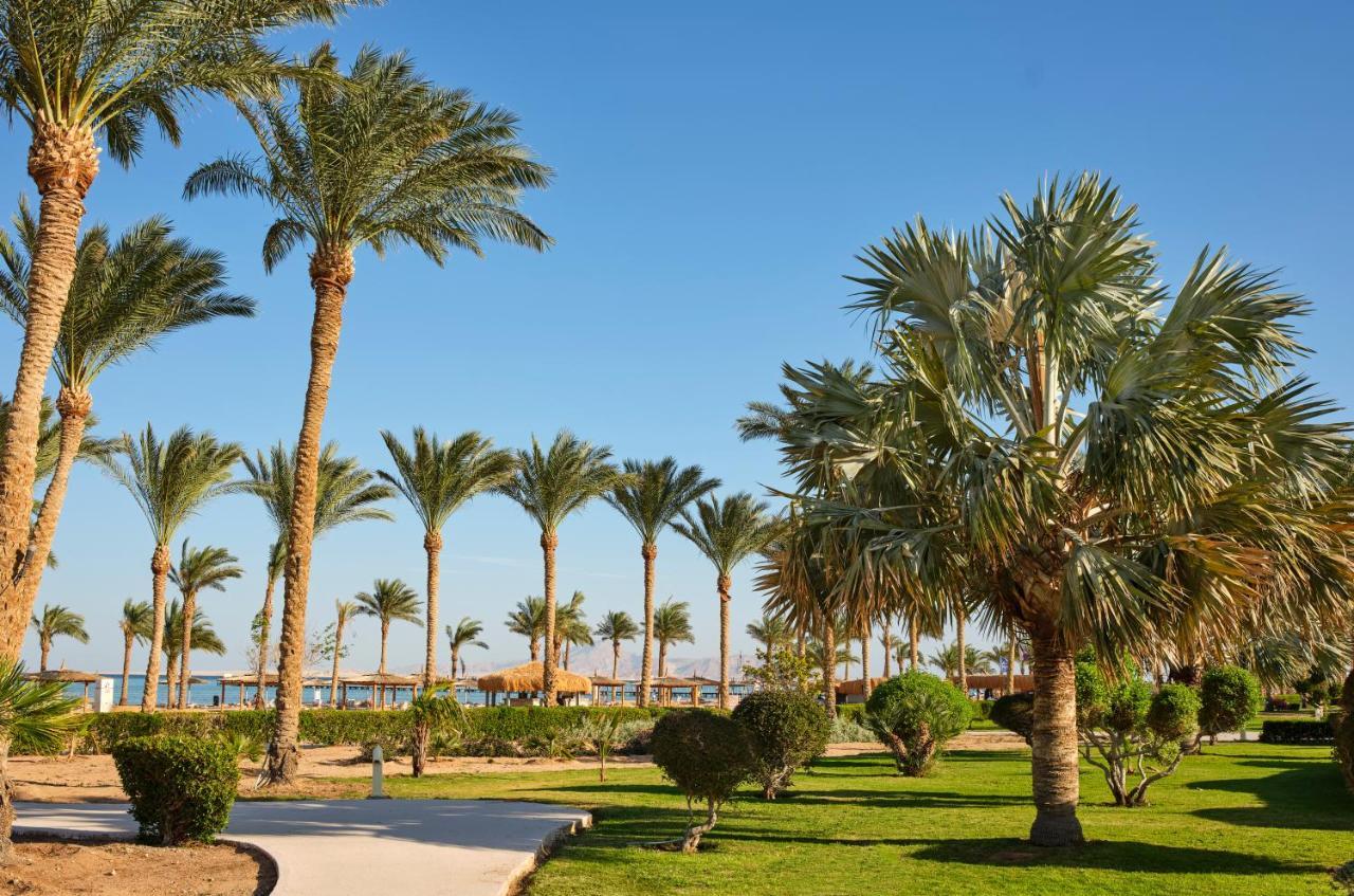 Coral Sea Waterworld Sharm El Sheikh Hotel Eksteriør billede